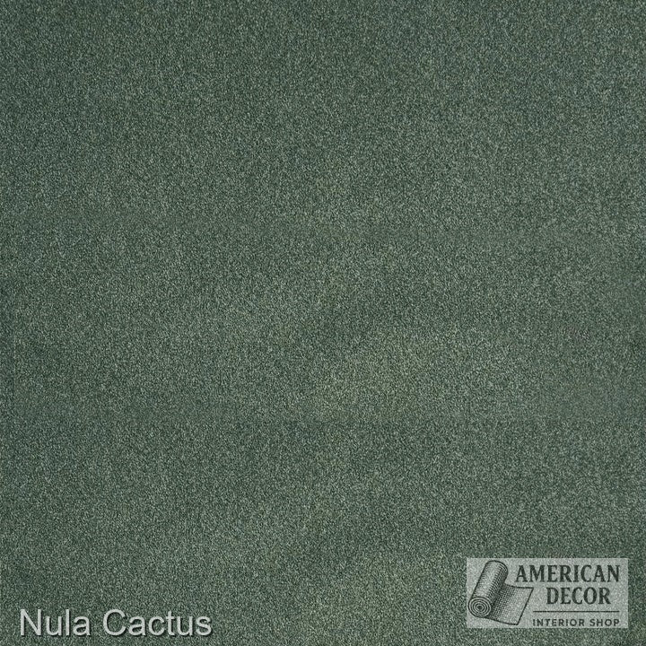 Nula CACTUS