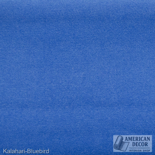Kalahari BLUEBIRD