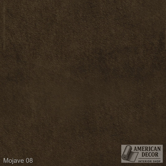 Mojave 08