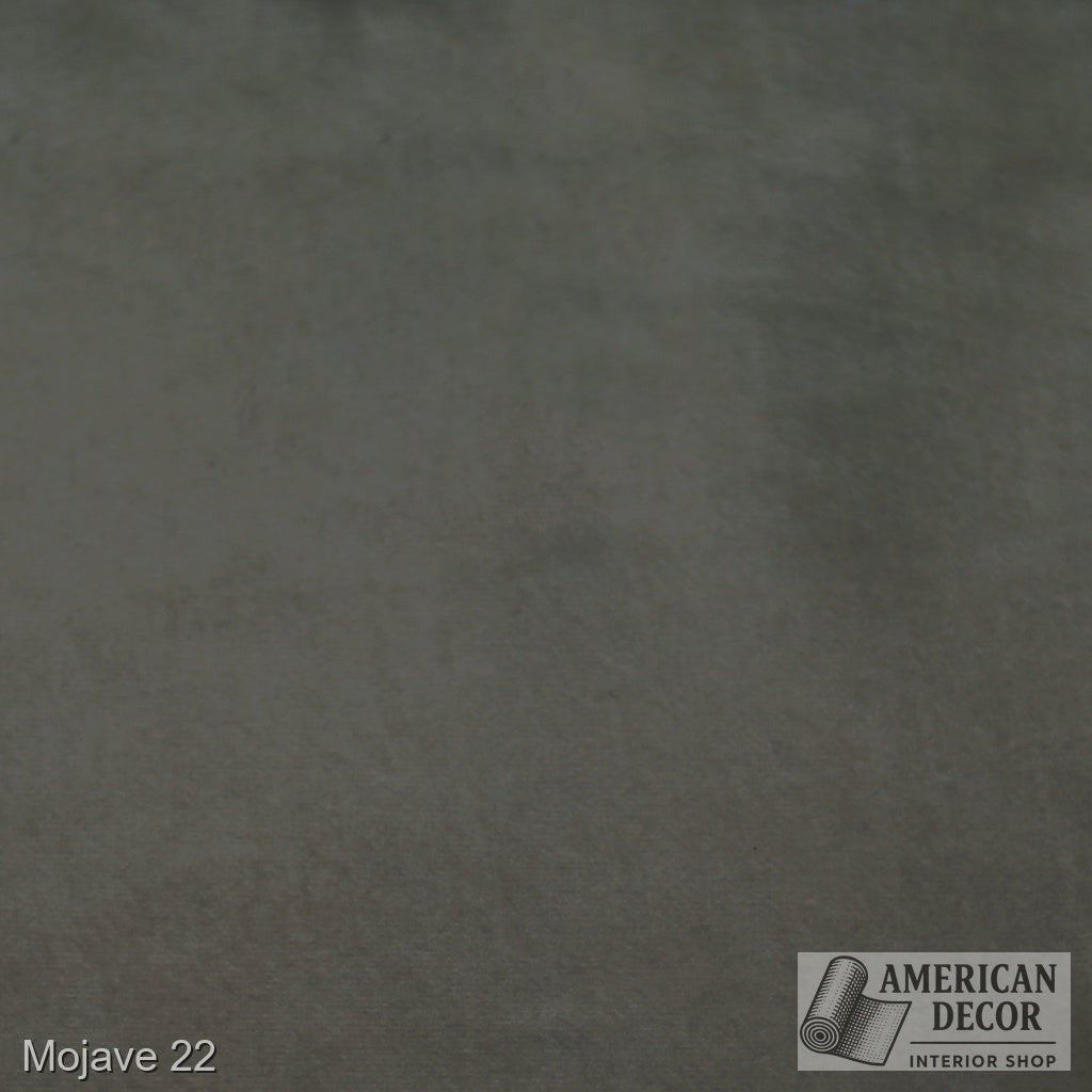 Mojave 22