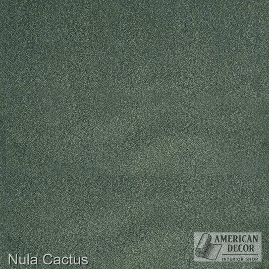 Nula CACTUS