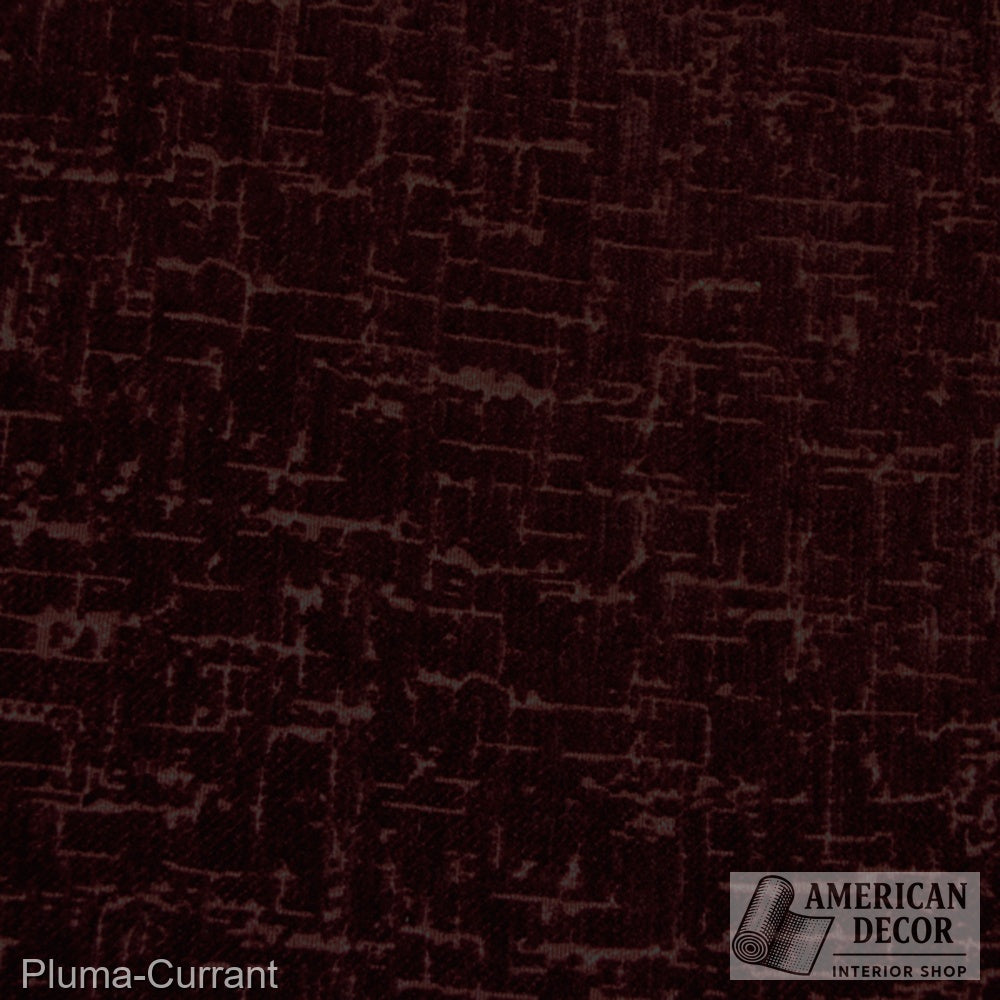 Pluma CURRANT