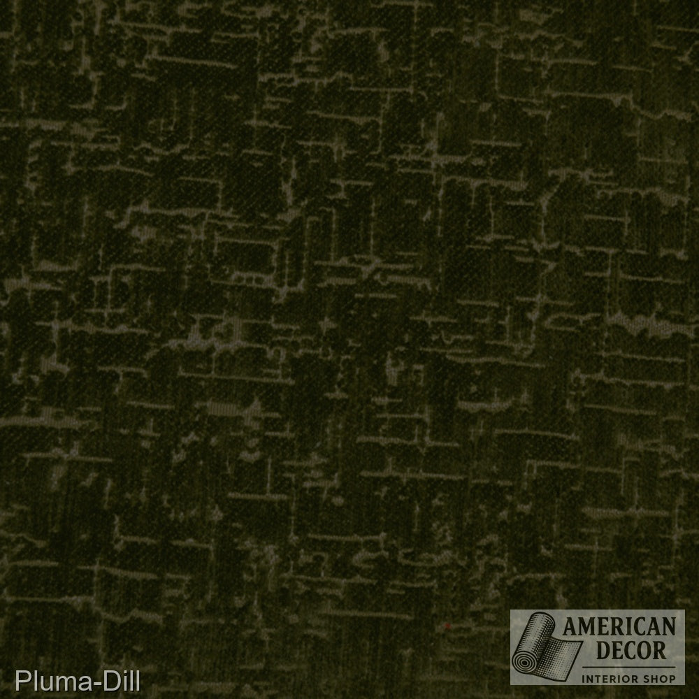 Pluma DILL